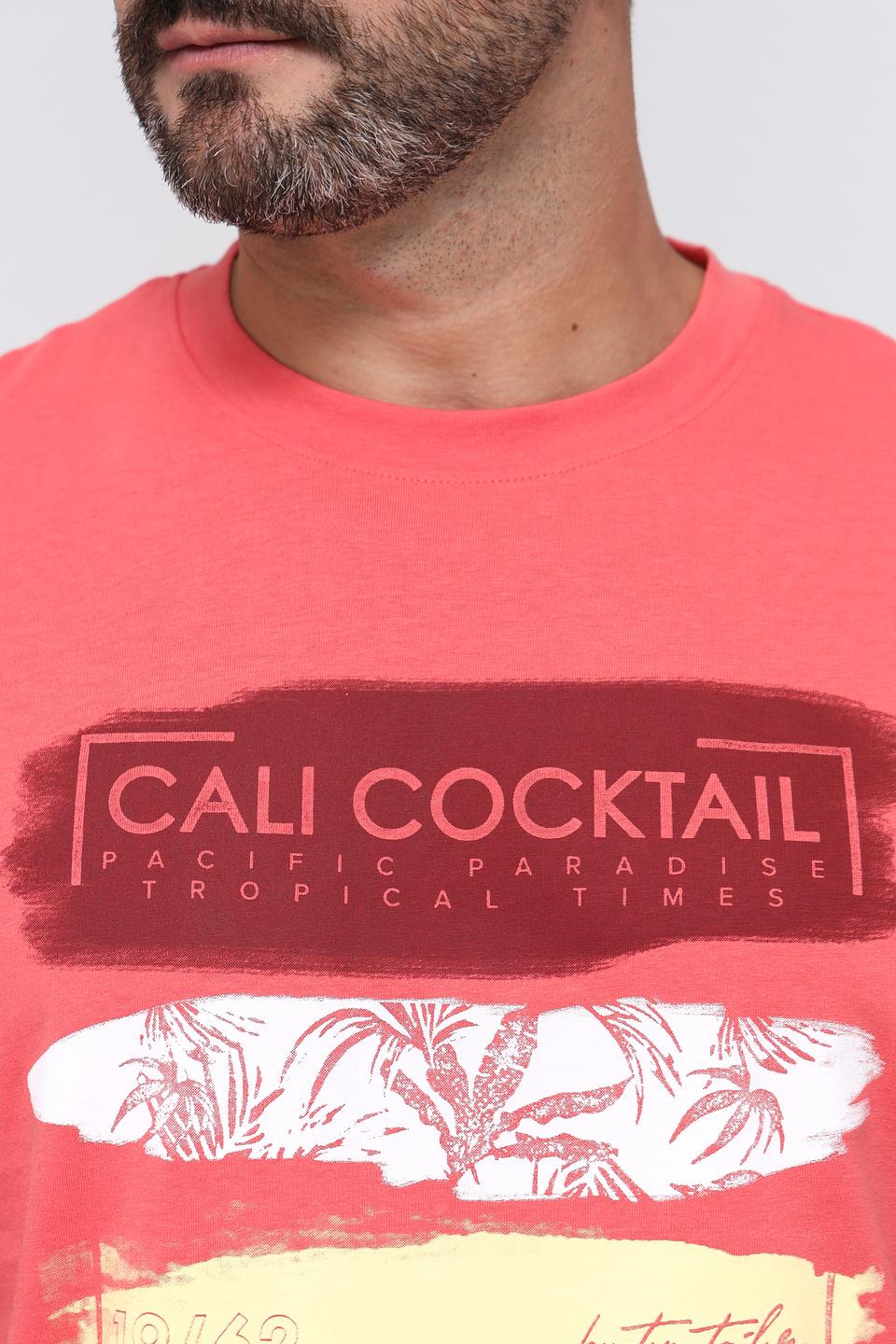 Футболка Tom Tailor Красная с Принтом Cali Cocktail