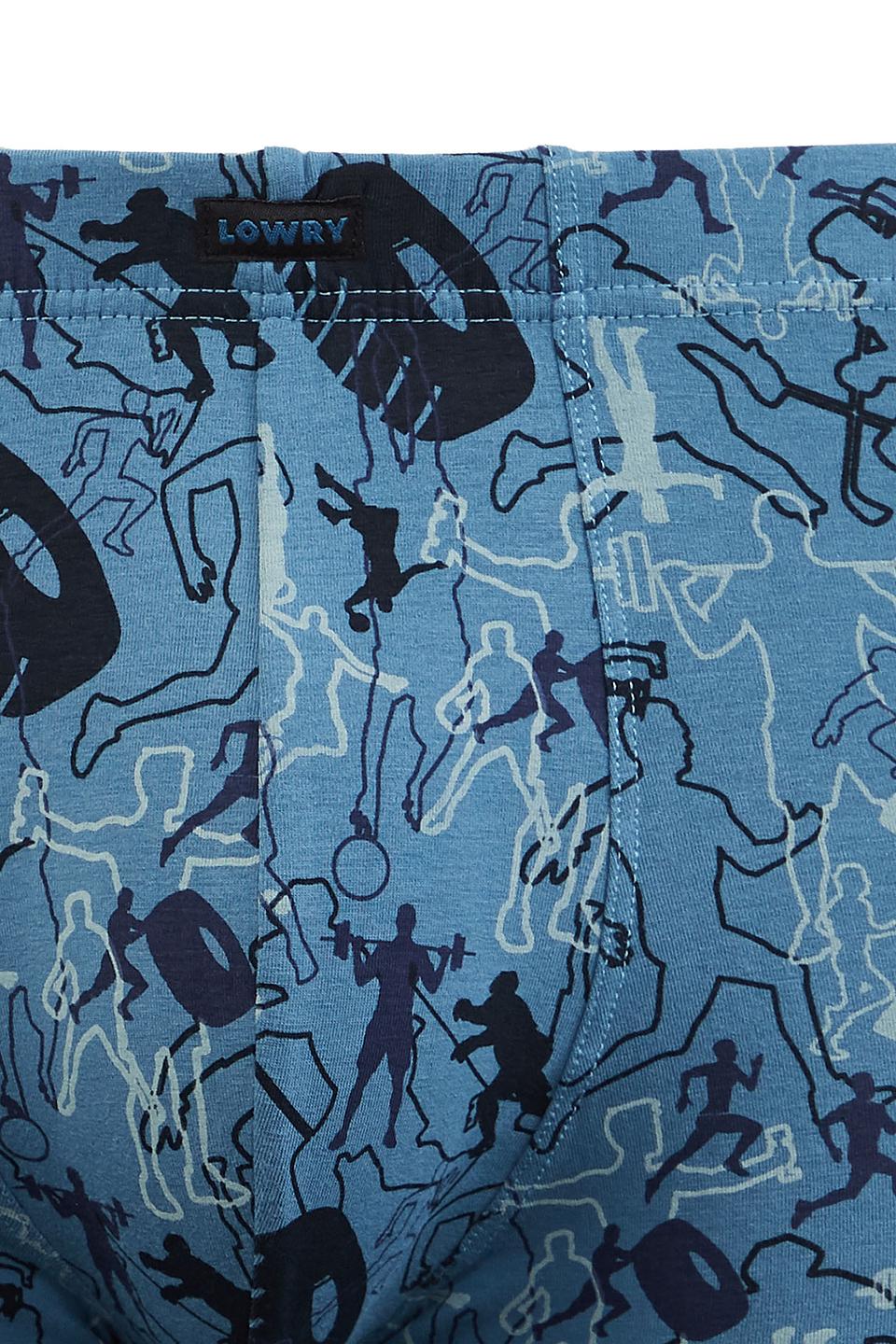 Трусы Lowry с принтом