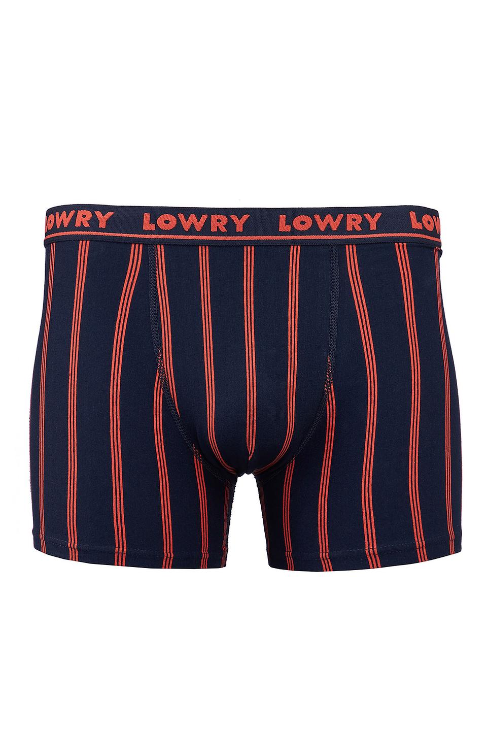 Трусы-боксеры Lowry в полоску