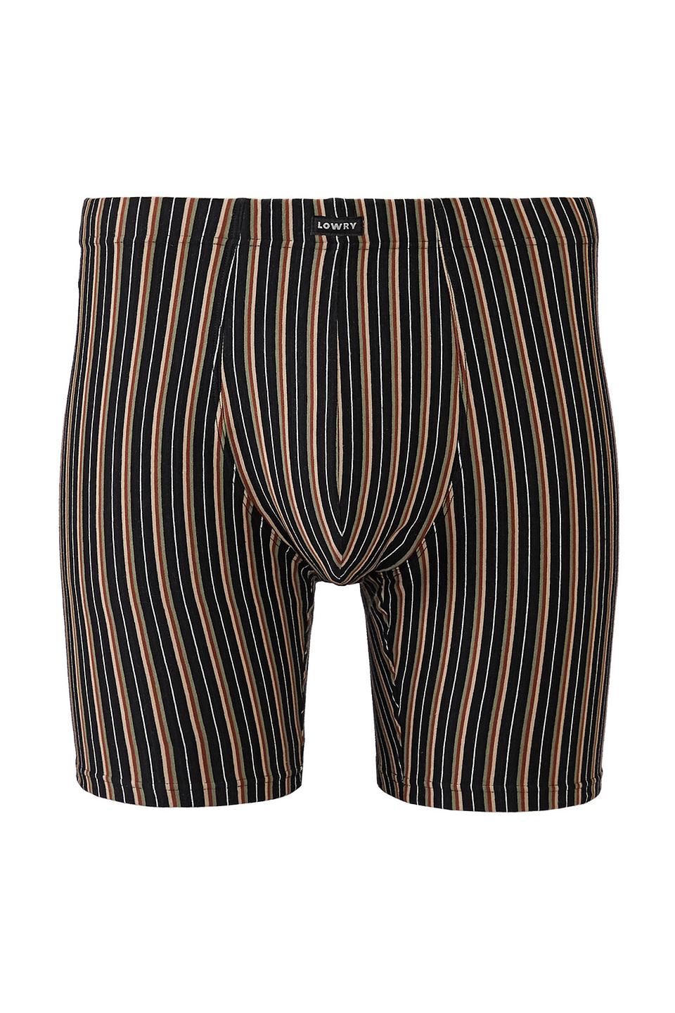Трусы-боксеры Lowry в полоску