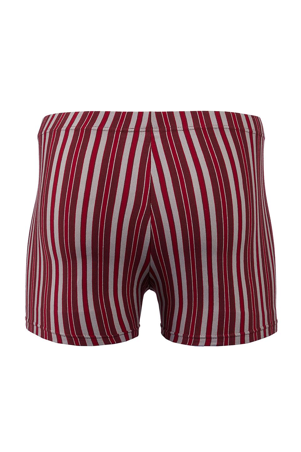 Трусы-боксеры Lowry в полоску бордовый