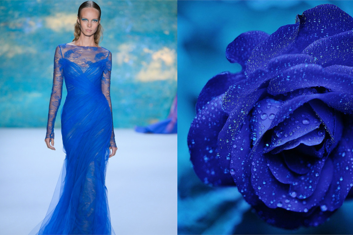 Королевский синий цвет в одежде